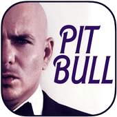 Pitbull mp3 1.1