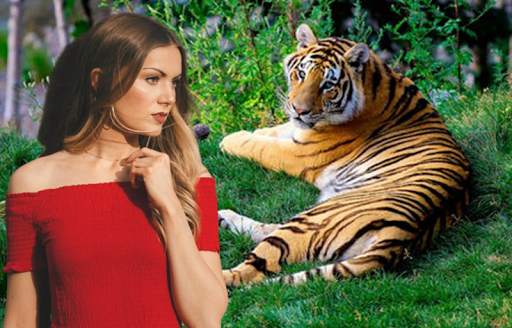 Lion Photo Editor – Tiger Photo Frames screenshot 5