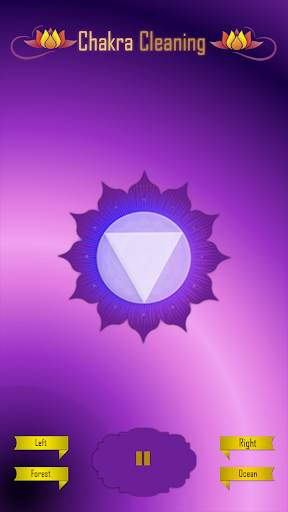 Chakra Cleaning screenshot 3