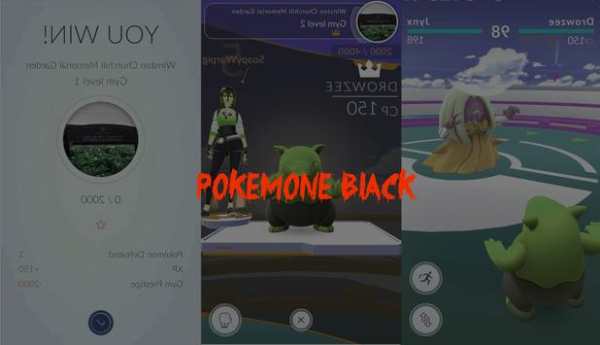 Pro Pokemon Black tIPs screenshot 3