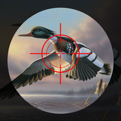 Duck Hunting icon