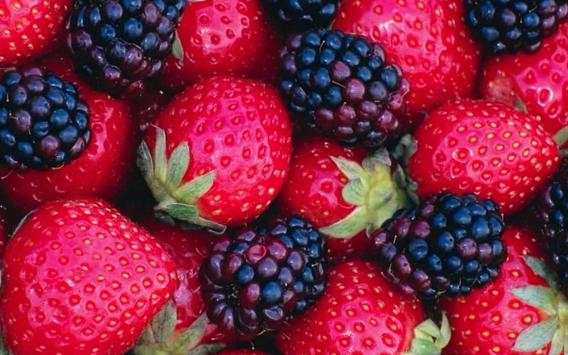 Berry Best live wallpaper screenshot 5
