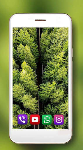 Forest Gallery Live Wallpaper screenshot 2