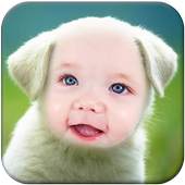 Dog Funny Photo Frame 1.1