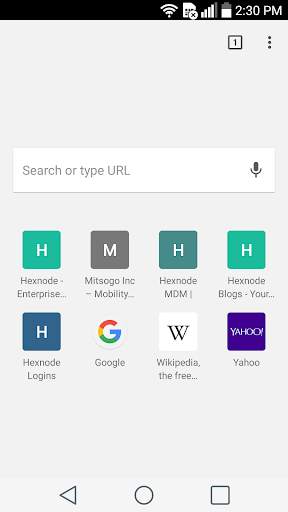 Hexnode Kiosk Browser screenshot 1