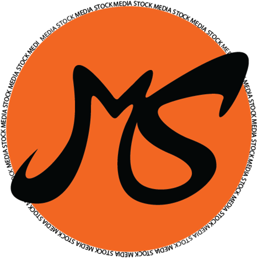 Media Stock - Social Status Downloader icon