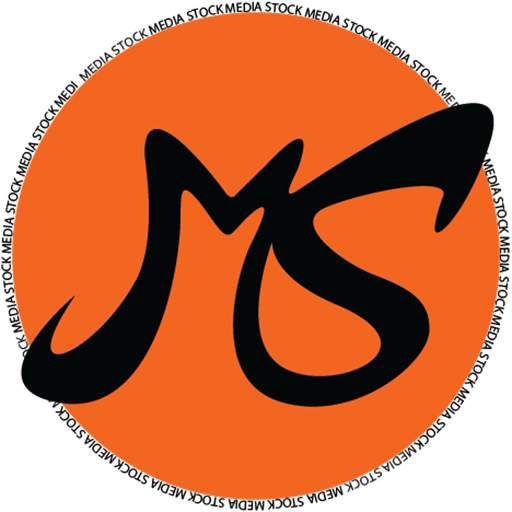 Media Stock - Social Status Downloader 6.1