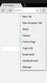 Web Browser lnternet ExpIorer screenshot 2