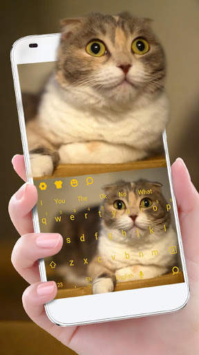 3D Live chubby Cute Kitty Keyboard screenshot 2