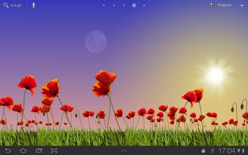 Poppy Field Free screenshot 11