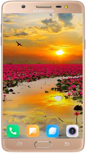 Lotus Wallpaper Best HD screenshot 8