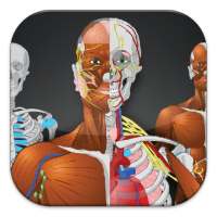 Memorix Anatomy QUIZ on 9Apps