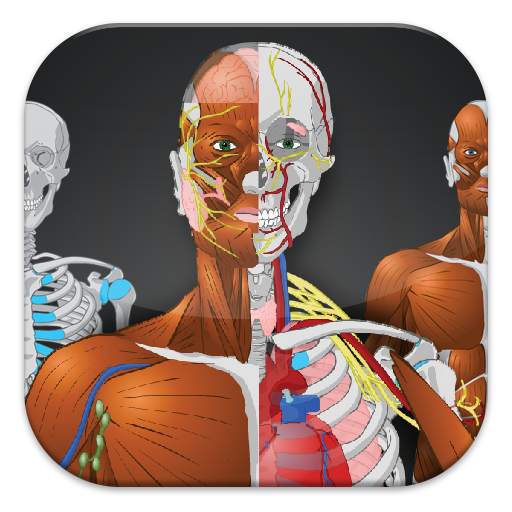Memorix Anatomy QUIZ 2.7.6