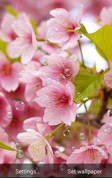 Pink Flowers Wallpaper screenshot 2