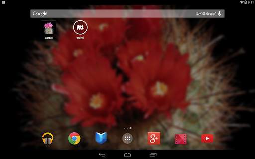 Cactus of The Day screenshot 10