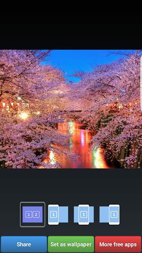 Sakura Cherry Blossoms HD Wall screenshot 3