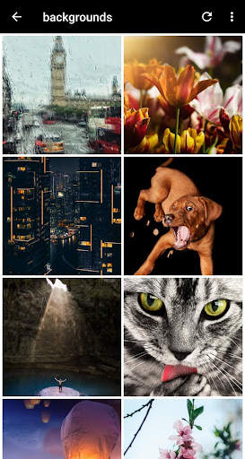 Zoom Backgrounds screenshot 2