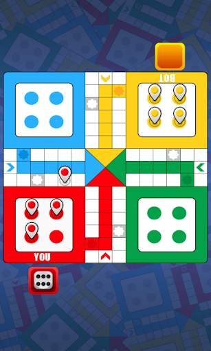 Ludo Bird Champion :  Knight R screenshot 2