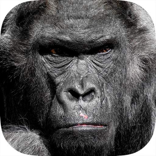 Real Gorilla vs Zombies - City 1.321