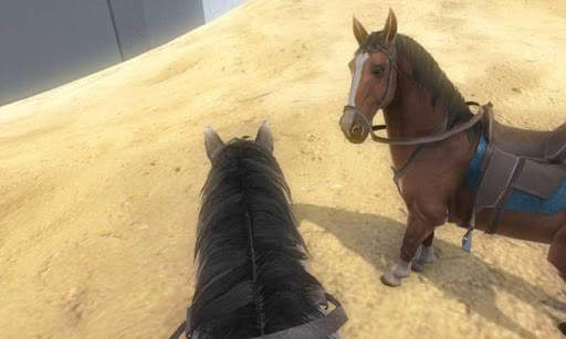 Horse Simulator : Cowboy Rider screenshot 3