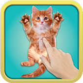 Tickle Cat icon