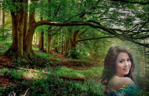 Forest Photo Frames screenshot 5