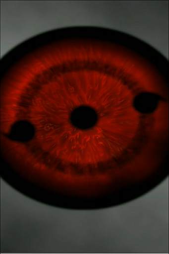 Sharingan Live Wallpaper with video скриншот 4