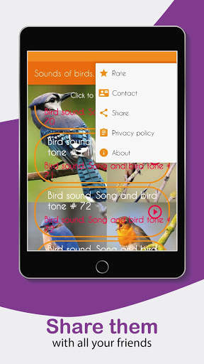 Sounds of birds. Songs and bird tones. screenshot 9