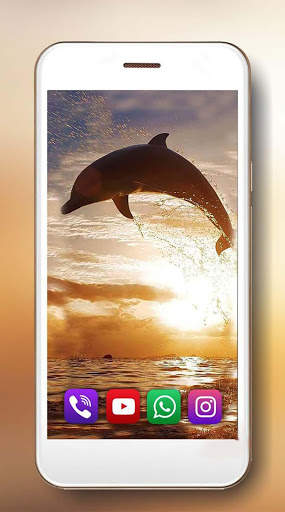 Dolphins Frendly Live Wallpaper screenshot 3