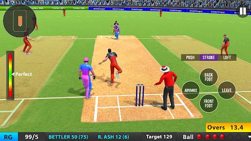 Indian T20 Cricket League 2022 screenshot 5