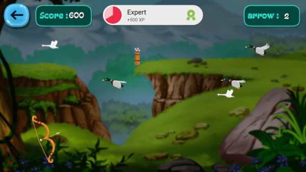 Bird Shoot screenshot 3