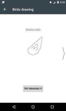 how to learn Draw Birds screenshot 4