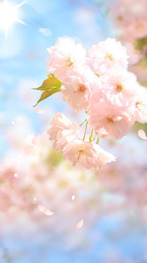 Sakura Flower Live Wallpaper screenshot 2