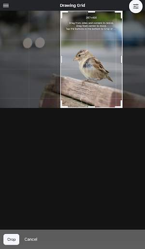Drawing Grid 6 تصوير الشاشة