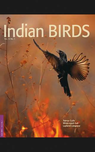 Indian BIRDS स्क्रीनशॉट 7