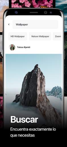 Pexels screenshot 3