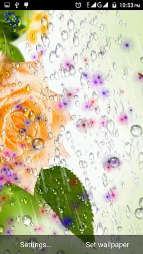 Drops Rain Live Wallpaper screenshot 4