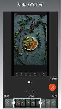 Web Video Cutter - Download short videos screenshot 2