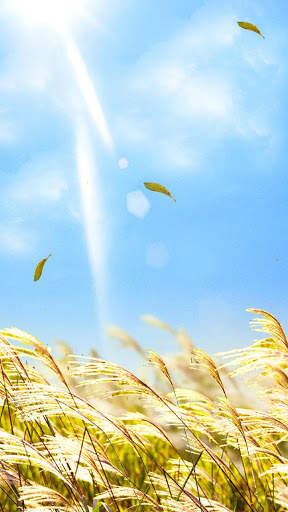 Natural Reed Live Wallpaper screenshot 2