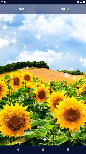 Flowers Live Wallpaper screenshot 4