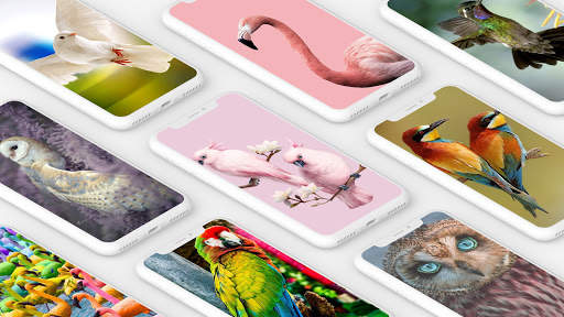 Bird Wallpaper HD screenshot 1