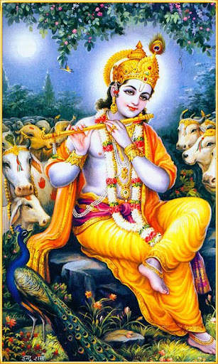 Sri Krishna God Wallpapers screenshot 2