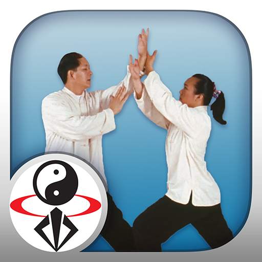 Tai Chi Pushing Hands 1.0.5