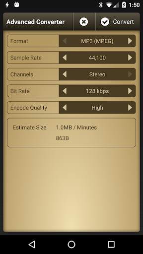 Voice Record Pro screenshot 7