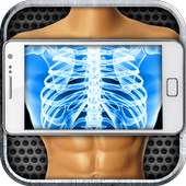 Scanner Body X-Ray