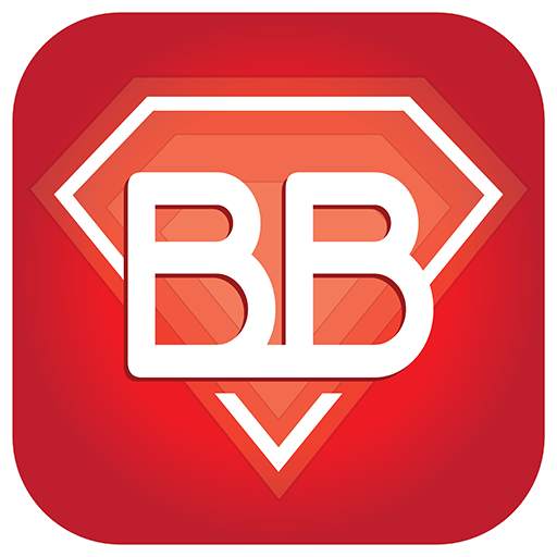 CVKD BB 2.3