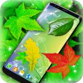 Leaves Magic Touch on Screen 4.12.0