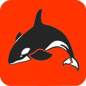 ORCA icon
