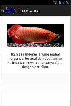 IKAN HIAS screenshot 4