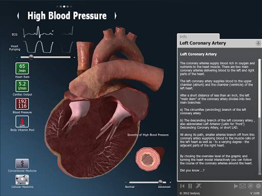 bodyxq heart screenshot 7